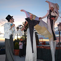 Eventos Animasur 2-t