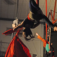 Eventos Animasur 19-t